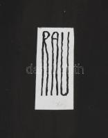 Rau Tibor (1934-2009): Karikatúra Akvarell, tus, papír, jelzett. 40x30 cm. Ludas Matyi Hírlapban meg...