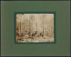 cca 1900 Máramaros, Erdő részlet kirándulókkal / Maramures forest Fotó 12x9 cm, paszpartuban 20x16 cm