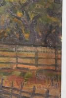 Olvashatatlan jelzéssel: Ház a domboldalban. Olaj, karton, keretben 50x68 cm