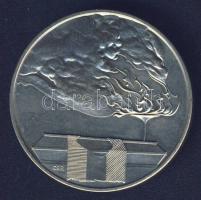 1989. "MDF-Vértanúk emlékére" ffém emlékérem T:BU Eredeti tokban, tanúsítvánnyal!