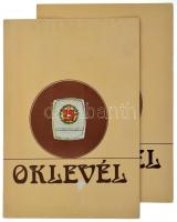 ~1970-1980. "Szocialista Brigád" műgyantás fém kitüntetés tokban, kitölteten oklevelekkel ...
