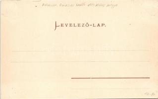 Kolozsvár, Cluj; Biasini szálloda. Schuster Emil kiadása / hotel (fl)