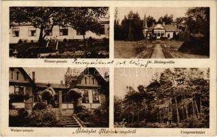 1929 Máriabesnyő (Gödöllő), Weiser pensio, Dr. Halmy villa, Fenyves részlet. Hangya szövetkezet kiadása