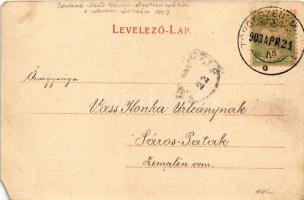 1903 Szolnok, Városháza, piac, Sebők Nándor, Konsitzky György, Fuchs Lipót és Fia üzlete és saját ki...