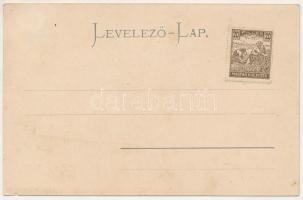 Tátra, Magas-Tátra, Vysoké Tatry; Csorbai fogaskerekű vasútállomás, vonat, gőzmozdony / Strbské Ples...