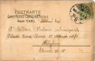 1906 Lady art postcard. Meissner &amp; Buch Künstler-Postkarten Serie 1300. "Frühling im He...