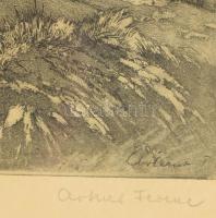 Artner Ferenc (1904-1981): Dunkanyar. Rézkarc, papír, jelzett, számozott 30x40 cm Üvegezett keretben...