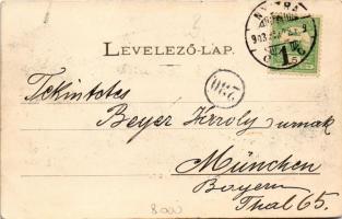 1903 Nyitra, Nitra; híd, gőzmalom / bridge, steam mill