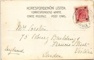 1904 Zampach (Hnátnice), Chateau de Zampach / castle, dogs of the owner (EK)