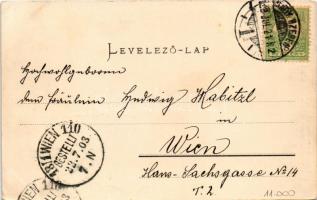 1903 Vöröstoronyi-szoros, Rotenturm-Pass, Pasul Turnu Rosu; Der rote Turm, Altfluss, Landskrone bei ...