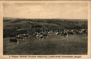 1930 Lengyel (Tolna), A Magyar Nemzeti Múzeum alapítványi uradalmának tehenészete (EK)