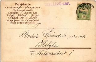 1904 Prosit Neujahr / New Year greeting art postcard, fairies playing ping-pong (table tennis) with ...