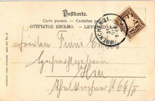 Prosit Neujahr / New Year greeting art postcard, lady with champagne, pig and horseshoe. Theo. Stroe...