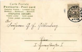 1902 Herzlichen Glückwunsch zum neuen Jahre / New Year greeting art postcard with black dog and boy ...