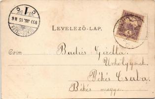 1900 Parádfürdő, fürdőhely látképe. Sréter fényképész (fl)