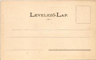 Sárospatak, Református főiskola, főiskolai könyvnyomda. Trócsányi B. kiadása