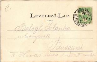 1907 Füzesabony, Malomtér, Vízi malom (EK) + "LAWOCZNE-MISKOLCZ-BUDAPEST 38. SZ." vasúti m...