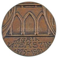 Király Róbert (1930-) 1981. "Kisfaludy Károly 1788-1830 / Agria Játékszín 1975-1981" bronz...