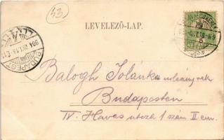1904 Nagybecskerek, Zrenjanin, Veliki Beckerek; Ferenc József híd / bridge