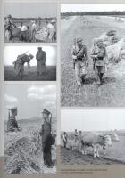 Sorsfordítás. A paraszti társadalom felszámolása, 1945-1962. A kísérőszövegeket Horváth Gergely Kris...