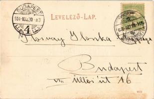 1904 Herkulesfürdő, Baile Herculane; Teljes látkép. R. Krizsány kiadása / Totalansicht / general vie...