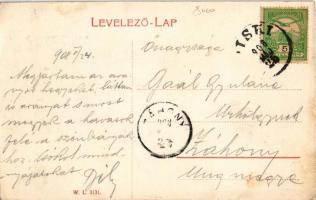 1908 Piski, Simeria; Bem tábornok emlékszobor. W.L. 3131. / monument (EK)