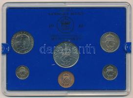 Svédország 1981. 5ö - 5K (6xklf) forgalmi sor műanyag tokban T:UNC karcos tok Sweden 1981. 5 Öre - 5 Kronor (6xdiff) coin set in plastic case C:UNC scratched case