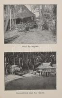 W. Rummel: Napsütötte országokban. Bolyongás Japánban és a Csendes-óceán szigetein. Bp., Franklin. K...