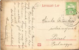 1911 Felsőróna, Horná Roven (Selmecbánya, Banská Stiavnica); Róza szálló. Grohmann kiadása / hotel (...