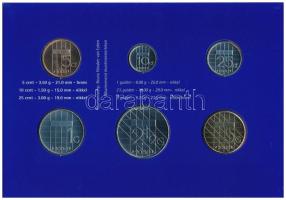 Hollandia 2000. 5c-5G (6xklf) forgalmi sor karton dísztokban, fólia borítékban T:UNC Netherlands 200...