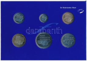 Hollandia 2000. 5c-5G (6xklf) forgalmi sor karton dísztokban, fólia borítékban T:UNC Netherlands 200...