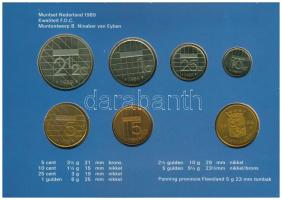 Hollandia 1989. 5c-2 1/2G (6xklf) forgalmi sor karton tokban, pénzverdei zsetonnal, fólia borítékban...