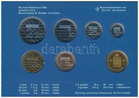 Hollandia 1993. 5c-2 1/2G (6xklf) forgalmi sor karton tokban, pénzverdei zsetonnal, fólia borítékban...