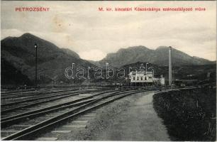 Petrozsény, Petrosani; M. kir. kincstári kőszénbánya szénosztályozó műve, iparvasút. Herz Henrik kiadása / coal mine, coal classifier plant, industrial railway (fl)