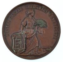 ~1880. "Magyar Ország Gazdasági Egyesülete" kétoldalas bronz érdemérem, hátoldalán "III. Rendü Polgár Péter 4. sz. ekéjének" gravírozással. Szign.: IDBF. Korabeli, de nem saját, sérült tokban. (46,5mm) T:AU patina