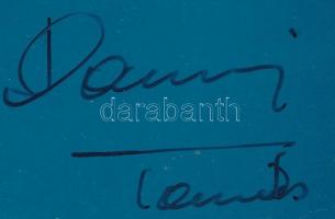 Darnyi Tamás (1967- ) négyszeres olimpiai bajnok úszó, sportvezető autográf aláírása őt ábrázoló fot...