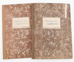 Magyar gyufacímke gyűjtemény az 1960-as évektől két vastag füzetbe ragasztva. Sok száz címkével komplett sorok.