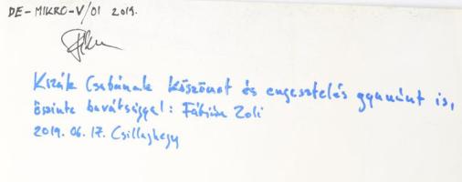 Fábián Zoltán (1976-): DE-Mikor-V/01. Vegyes technika, papír jelzett és Fábián Zoltán autográf ajánd...