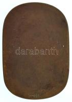 1931. "Hadsereg Sportérem / Hadsereg Sportversenyek 1934" bronz katonai sport emlékérem, h...