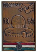 1954. "Budapest 1954" bronz plakett a magyar-angol labdarúgómérkőzés alkalmára (70x50mm) T:XF nagyobb zománchiba