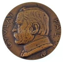 Beck Ötvös Fülöp (1873-1945) 1930. "Gyulai Pál / A gyulai ebédek vendégei Rust Józsefnek 1930" kétoldalas bronz emlékérem (61mm) T:AU kis patina / Hungary 1930. "Pál Gyulai / For József Rust from the guests of the lunches in Gyula 1930" two-sided bronze commemorative medallion. Sign.:Fülöp Beck Ötvös (1873-1945) (61mm) C:AU small patina HP.: 1006.