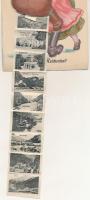 Bad Reichenhall, Gurß aus Bad Reichenhall. Walzer tanzen... / leporellocard with 10 small pictures, ...