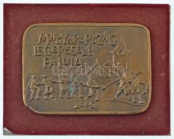 2005. "Magyarország legerősebb faluja" egyoldalas, öntött bronz plakett, fa talpon (90x126mm) T:AU kis patina