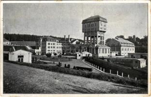 1929 Szabolcsbánya-telep, Szabolcsbányatelep, Mecsekszabolcs (Pécs); Szent István akna (kis szakadás / small tear)