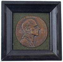 1983. "XX éves a Váci Állami Zeneiskola 1963-1983" egyoldalas, öntött bronz plakett, fa ke...