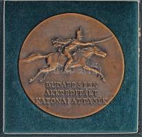 DN "Budapesten Akkreditált Katonai Attasék" egyoldalas, öntött bronz plakett, dísztokban (101mm) T:AU,XF