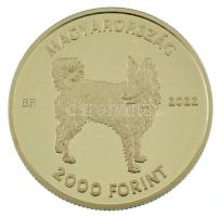 2022. 2000Ft Cu-Ni-Zn "Mudi" kapszulában, színes MNB tájékoztatóval T:P