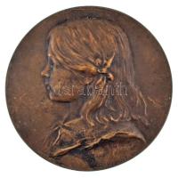 Ausztria 1903. "Lány balra néző portréja" bronz emlékérem. Szign.: R. Placht (64mm) T:XF Austria 1903. "Portrait of a girl facing left" bronze medallion. Sign.: R. Placht (64mm) C:XF