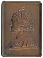 ~1900. "Idős hölgy balra néző portéja" egyoldalas bronz plakett. Szign.: E.v.H. (89x67mm) T:AU ~1900. "Portrait of an old lady looking left" one-sided bronze plaque.: E.v.H. (89x67mm) C:AU