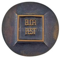 1977. "XVII. FIDEM 1977 / Budapest" kétoldalas öntött bronz emlékérem tokban (80mm) T:AU patina